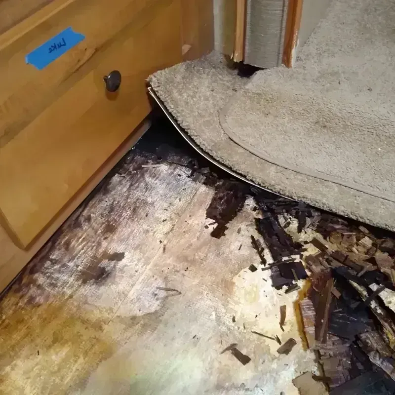 Wood Floor Water Damage in Todd Creek, CO